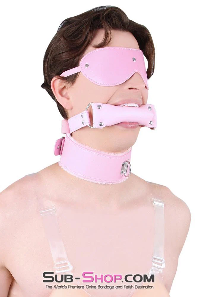 8956DL-SIS      Sissy Slave Harlot Sissy Hypnosis Stuffed Pink Bit Gag - Image 24