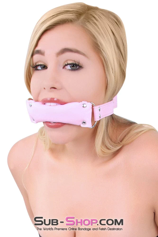 8956DL-SIS      Sissy Slave Harlot Sissy Hypnosis Stuffed Pink Bit Gag - Image 32