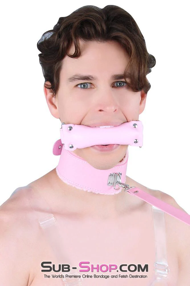 8956DL-SIS      Sissy Slave Harlot Sissy Hypnosis Stuffed Pink Bit Gag - Image 9
