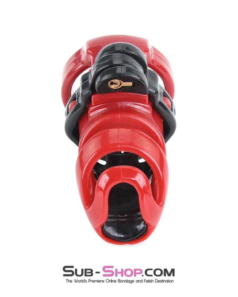 9059AE-SIS Sissy's Long Night High Security Hinged Locking Male Chastity with Prince Albert Device - Image 2