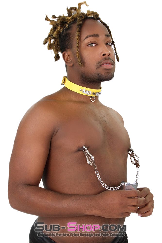 6875M      Slave's Burden Labia and Nipple Clamps with Weight Bucket 🔥 FINAL CLEARANCE – Last Chance! - Image 12