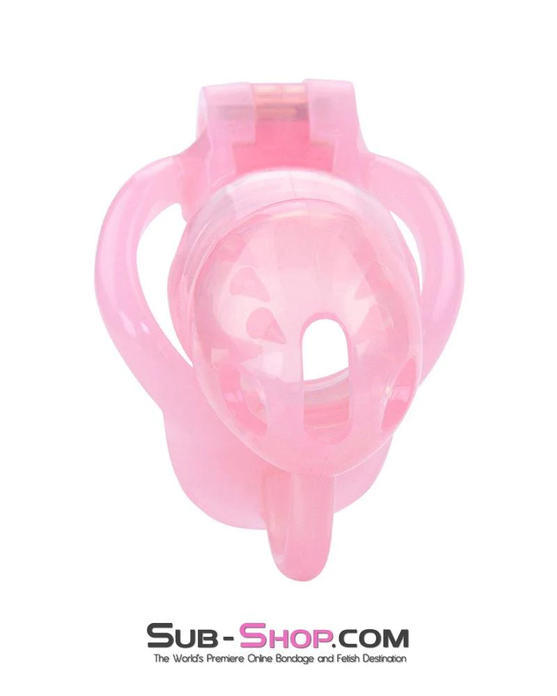 1391AR-SIS      Spiked Pink Sissy Cock Blocker Silicone Locking Male Chastity with Ball Divider - Image 14