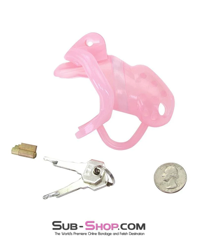 1391AR-SIS      Spiked Pink Sissy Cock Blocker Silicone Locking Male Chastity with Ball Divider - Image 16