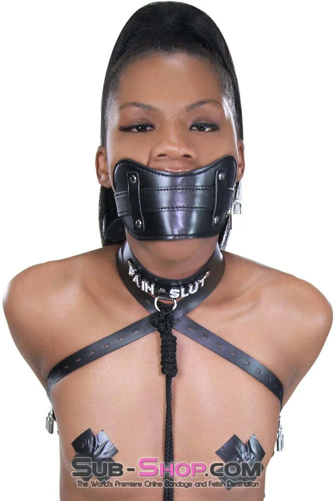 8954DL      Stuffed Slave Mouth Locking Panel Gag - Image 16