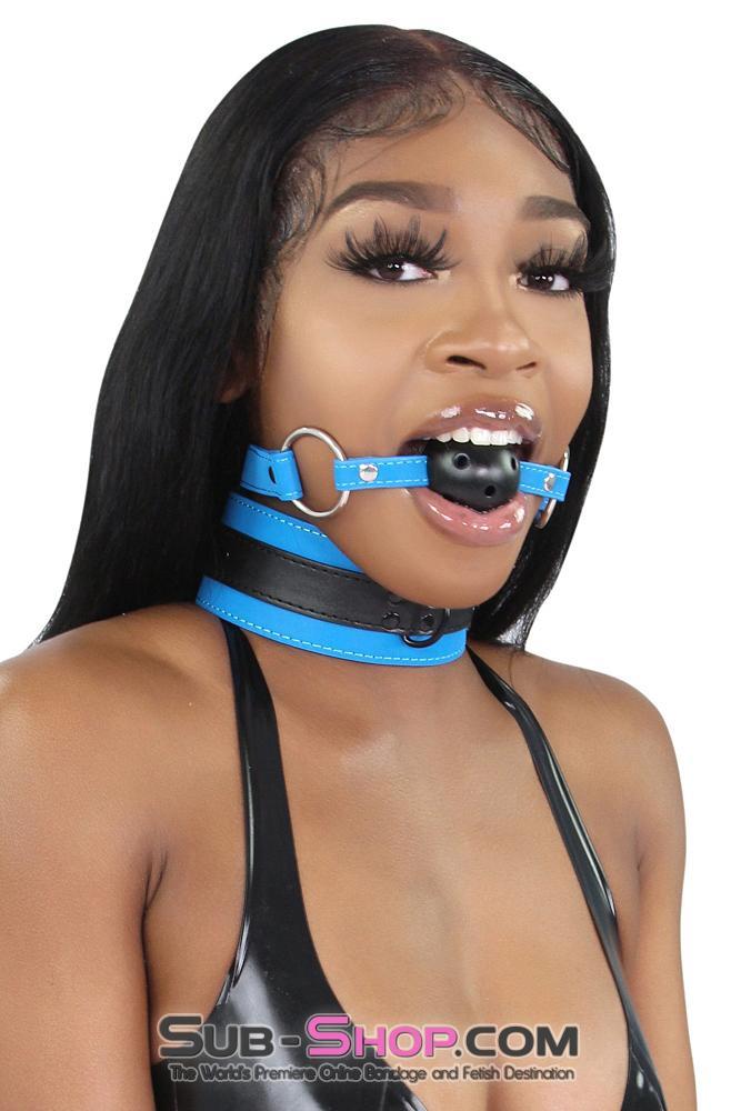7099MQ Tantric Blue Collar with Black Hardware and Matching Leash 🔥 FINAL CLEARANCE – Last Chance! - Image 10
