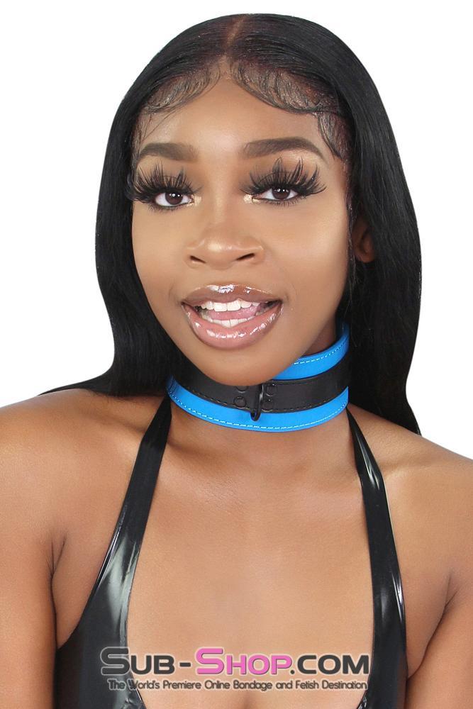 7099MQ Tantric Blue Collar with Black Hardware and Matching Leash 🔥 FINAL CLEARANCE – Last Chance! - Image 6