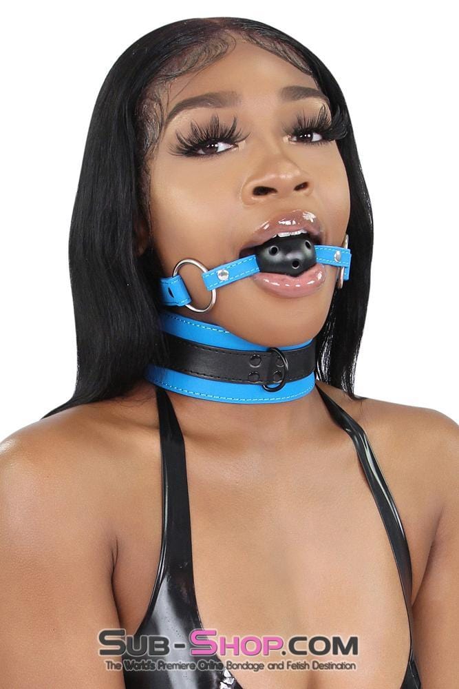 7099MQ Tantric Blue Collar with Black Hardware and Matching Leash 🔥 FINAL CLEARANCE – Last Chance! - Image 8