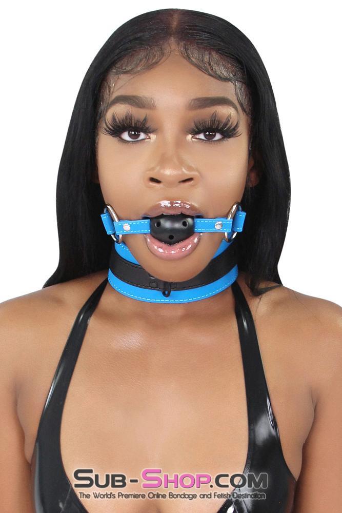 7099MQ Tantric Blue Collar with Black Hardware and Matching Leash 🔥 FINAL CLEARANCE – Last Chance! - Image 9