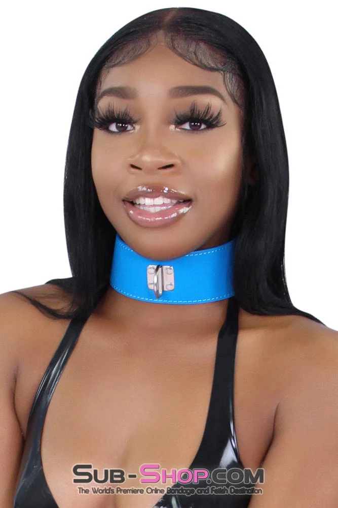 9070MQ Tantric Blue Locking Collar with Matching Long Leash - Image 29