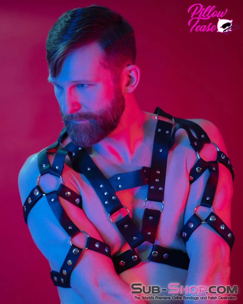 7901DL The Gladiator Male Chest Bondage Harness - Image 4