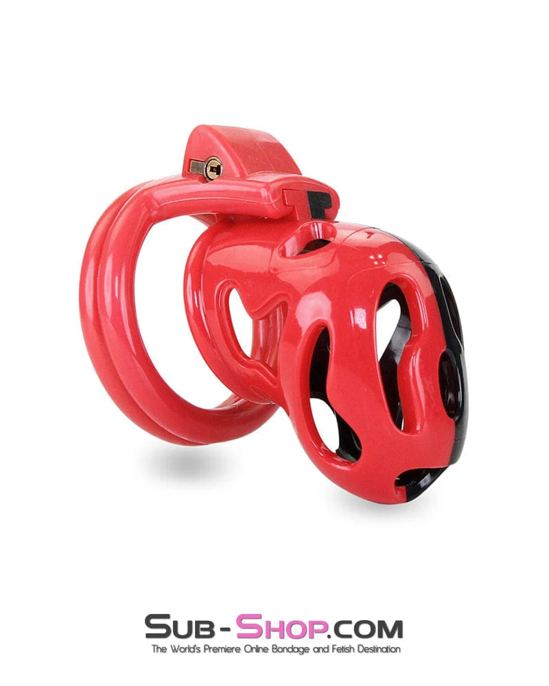 7345M The Master Lock Locking Chastity Cage - MEGA Deal