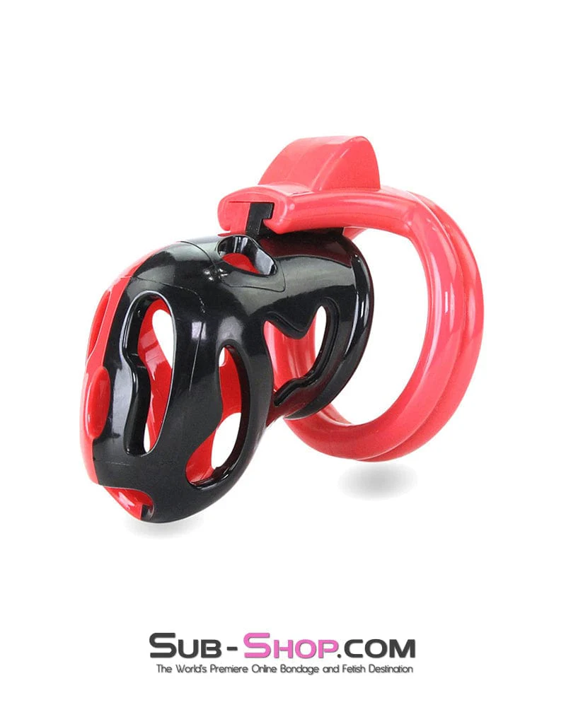 7345M The Master Lock Locking Chastity Cage - MEGA Deal - Image 3