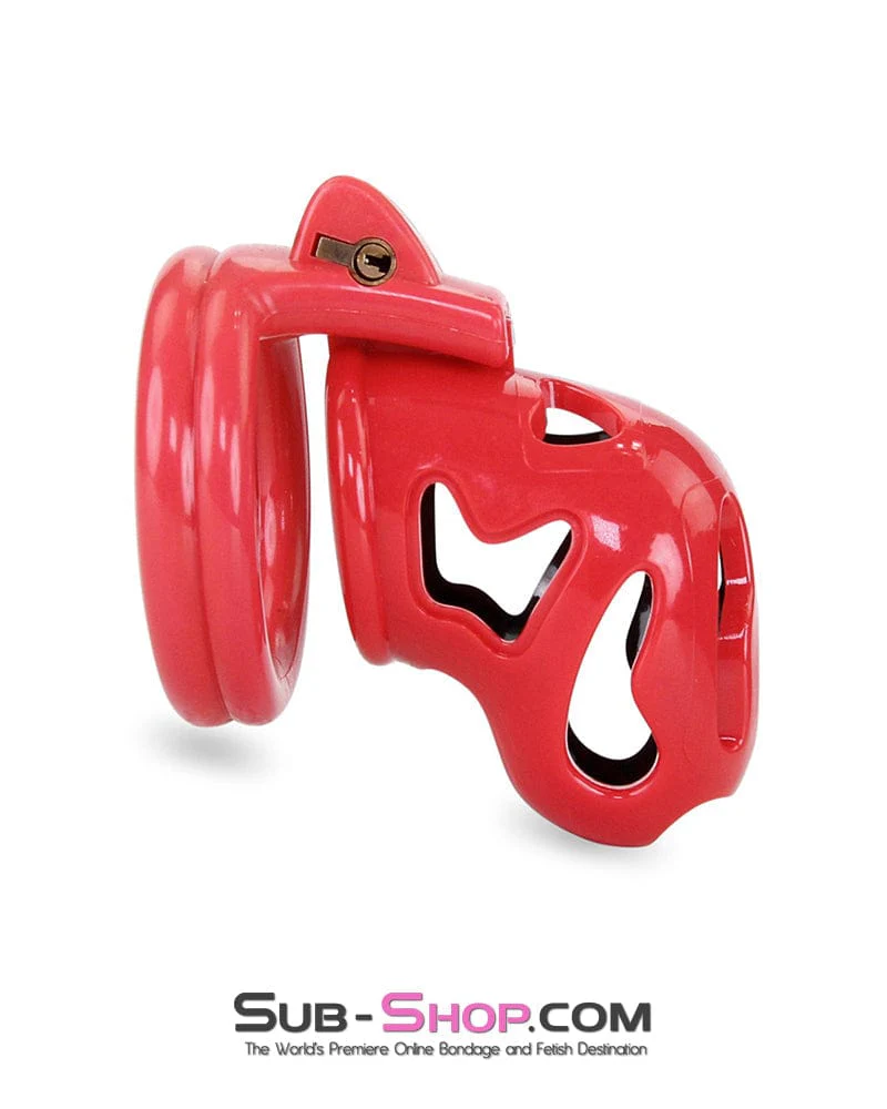 7345M The Master Lock Locking Chastity Cage - MEGA Deal - Image 9
