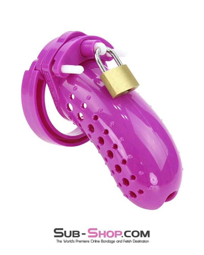 1603AR The Stockade Purple Cage Male Chastity Device