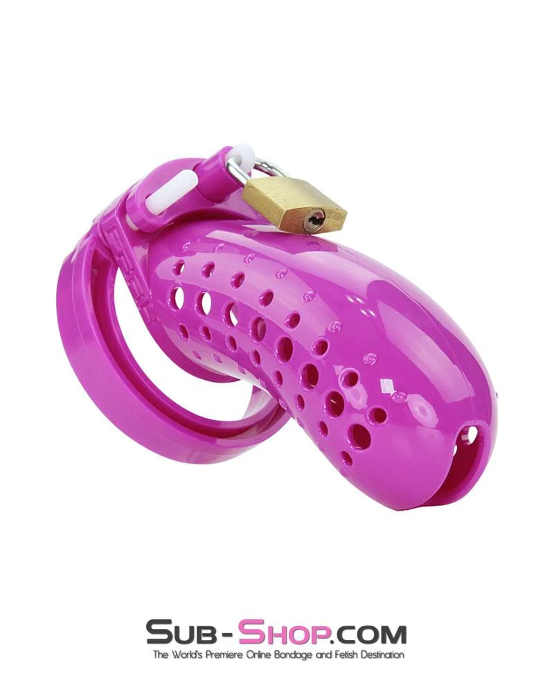 1603AR The Stockade Purple Cage Male Chastity Device - MEGA Deal