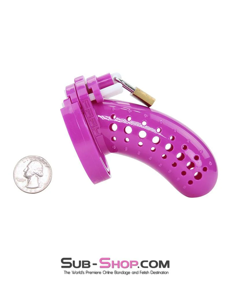 1603AR The Stockade Purple Cage Male Chastity Device - MEGA Deal - Image 6