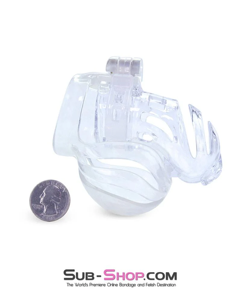 1414AR The Vortex Clear Full Cock and Ball Enclosure High Security Locking Cock Tease Cage Chastity - MEGA Deal