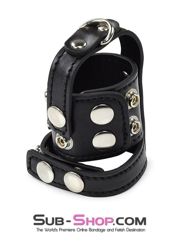 1799DL 1.5 Inch Wide Ball Stretcher / Cock Cage - Image 6