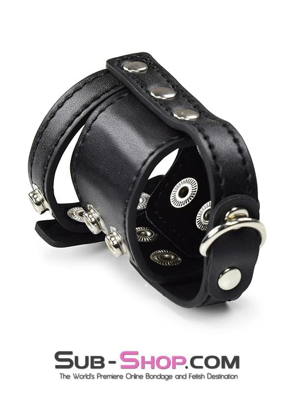 1799DL 1.5 Inch Wide Ball Stretcher / Cock Cage - Image 7